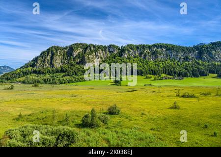 Autriche, Tyrol, Kaiserwinkl, Walchsee, Schwaigs, Moorland Schwemm contre Miesberg, vue depuis la tour d'observation Banque D'Images