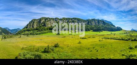 Autriche, Tyrol, Kaiserwinkl, Walchsee, Schwaigs, Moorland Schwemm contre Miesberg, vue depuis la tour d'observation Banque D'Images