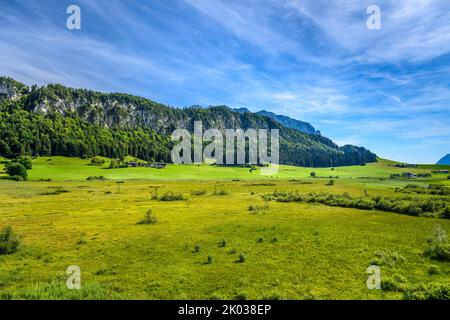 Autriche, Tyrol, Kaiserwinkl, Walchsee, Schwaigs, Moorland Schwemm contre Miesberg, vue depuis la tour d'observation Banque D'Images