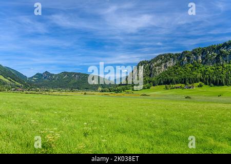 Autriche, Tyrol, Kaiserwinkl, Walchsee, Schwaigs, Zone de la lande de Schwemm contre les montagnes de Hausberg et Miesberg Banque D'Images