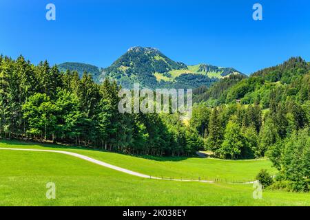 Allemagne, Bavière, Comté de Rosenheim, Oberaudorf, Schindlberg, Vue sur Brünnstein Banque D'Images