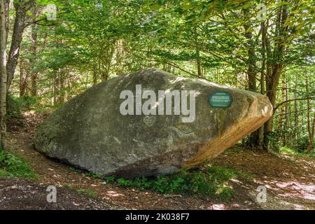Allemagne, Bavière, Comté de Rosenheim, Oberaudorf, Niederaudorf, Bloc de granit 'Grauer Stein'. Banque D'Images