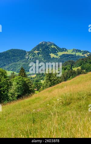Allemagne, Bavière, Comté de Rosenheim, Oberaudorf, Zaglach, Vue sur Brünnstein Banque D'Images