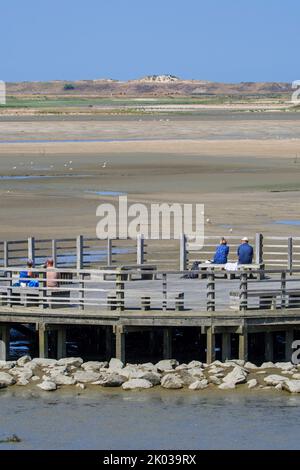 Touristes / marcheurs se reposant sur une plate-forme de belvédère en bois, point de vue offrant une vue sur le saltmarsh et les oiseaux côtiers à la réserve naturelle de Zwin, Belgique Banque D'Images