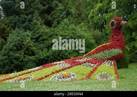 Île de Mainau, figures faites de fleurs Banque D'Images