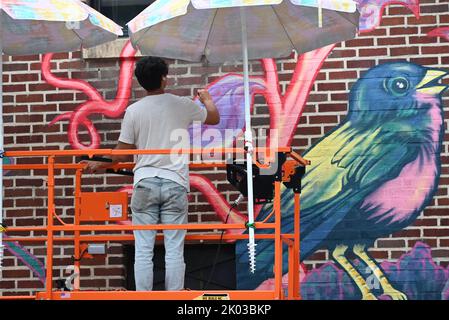 Raleigh, NC, USA, 8th septembre 2022, l'artiste Gabriel Eng-Goetz travaille sur les détails d'une murale du centre-ville célébrant le parc dix et la puissance des espaces verts. La fresque doit être officiellement dévoilée au public lors d'un événement qui aura lieu samedi. Crédit D client Smith / Alamy News Banque D'Images