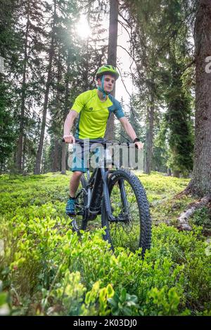 Italie, Tyrol du Sud, Bolzano / Bozen, San Candido / Innichen. Cavalier avec e-bike, promenade libre dans la forêt entre les pins Banque D'Images