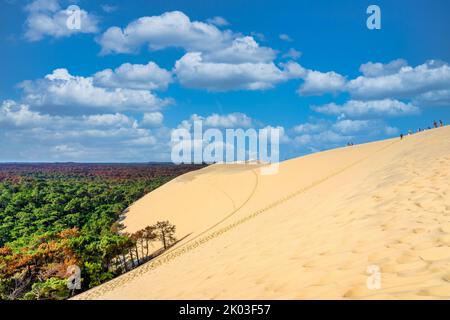 Vue sur la forêt de la dune de Pyla, située dans la baie d'Arcachon en Aquitaine. Photo de haute qualité Banque D'Images