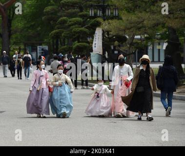 Le hanbok traditionnel est porté par les visiteurs du palais Gyeongbokgung, le principal palais royal de la dynastie Joseon. Construit en 1395, il est situé dans le nord de Séoul, en Corée du Sud. Le plus grand des cinq grands palais construits par la dynastie Joseon, Gyeongbokgung a servi de maison aux rois de la dynastie Joseon, aux familles des rois, ainsi qu'au gouvernement de Joseon. Banque D'Images