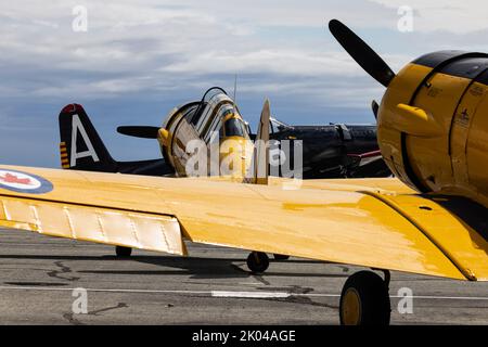 North American Harvards à Boundary Bay BC Canada Banque D'Images