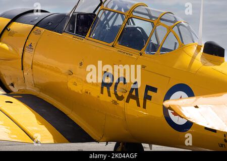 North American Harvards à Boundary Bay BC Canada Banque D'Images