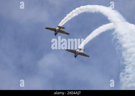 North American Harvards à Boundary Bay BC Canada Banque D'Images