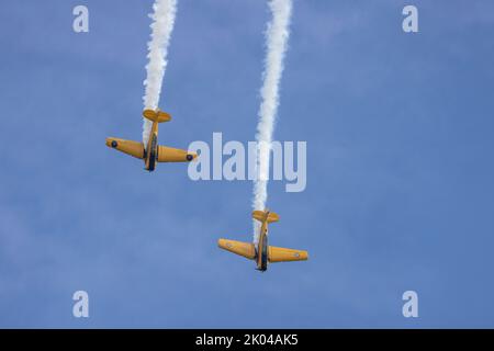 North American Harvards à Boundary Bay BC Canada Banque D'Images