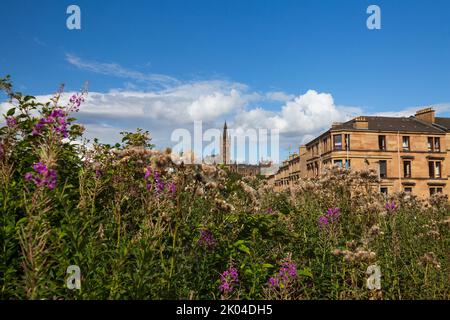 Vue sur l'université de Glasgow en été Banque D'Images