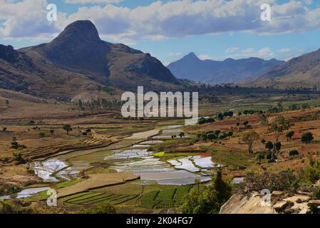 Vue panoramique sur les rizières et le paysage des montagnes près d'Ambalavao, Madagascar Banque D'Images