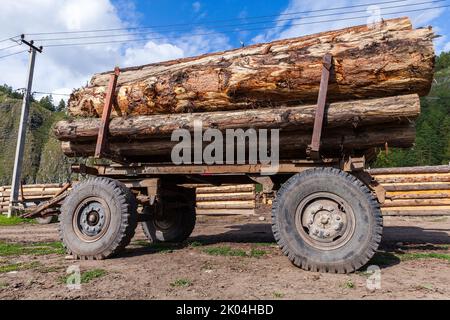 Une remorque de camion pleine de billes de cèdre épaisses se trouve sur le bord de la route. Vue latérale Banque D'Images