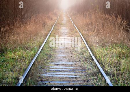 Le vieux chemin de fer abandonné traverse une forêt brumeuse, vue en perspective Banque D'Images