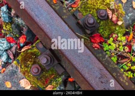 Vieux chemin de fer rouillé détails dans la journée d'automne, vue de dessus. Rail, couchette, boulons et feuilles d'automne colorées Banque D'Images