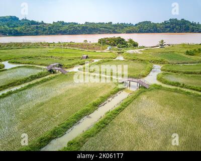 Rizières et champs réguliers dans la campagne de Guangxi, en Chine Banque D'Images