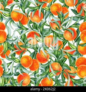 Motif sans couture orange aquarelle. Illustration faite à la main de fruits mûrs aux agrumes et de feuilles sur les branches. Fond tropical infini. Pour tissu et Banque D'Images