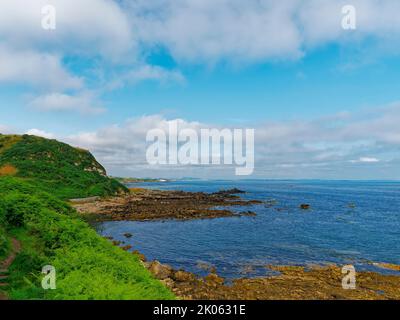 St Andrews, à la distance du sentier du sentier côtier de Fife, avec des fougères, des buissons et des herbes couvrant les falaises au premier plan. Banque D'Images