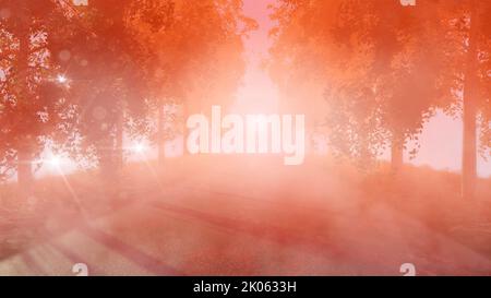 route dans le parc tôt le matin rouge orangers rayons automne brume 3d rendu Banque D'Images