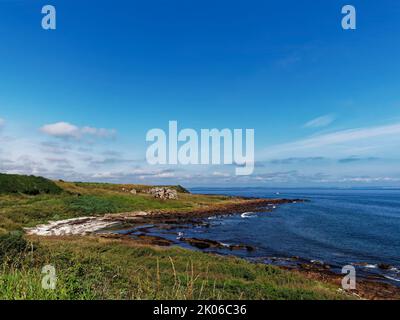 La plage de Buddo Ness le long du chemin côtier de Fife regardant vers le nord à Low Tide lors d'une belle matinée de Summers en juillet. Banque D'Images