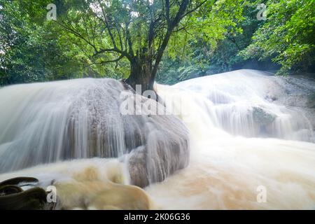 Une belle cascade en saison des pluies Banque D'Images