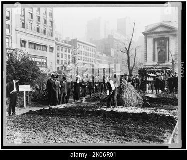 Ville expérience dans le jardinage, New York City, c1922. Groupe de personnes observant un jardinier au travail dans un projet de jardin dans le parc de la ville de New York. Banque D'Images