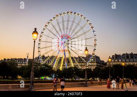 Grande roue de Paris, Grande roue, grande roue du jardin des Tuileries, éclairée au crépuscule, Paris, France Banque D'Images