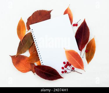 Carte fleurie d'automne avec de belles feuilles colorées et des baies de viburnum Banque D'Images