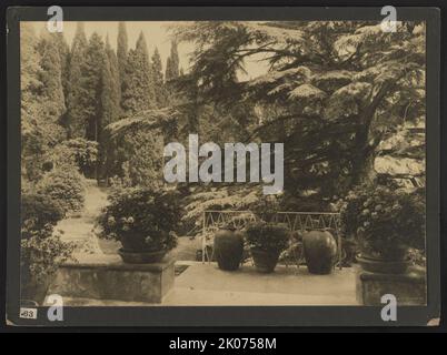 Italie, Villa Bel Riposo, Fiesole i.e. San Domenico, "Cèdres du Liban" , 1925. Frances Benjamin Johnston a présenté cette image dans son exposition Ferargil Galleries 1926. Banque D'Images