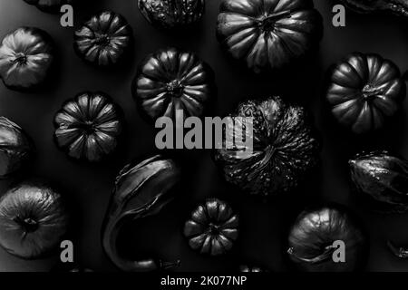 Différents types de petits citrouilles peintes en noir sur fond sombre Banque D'Images