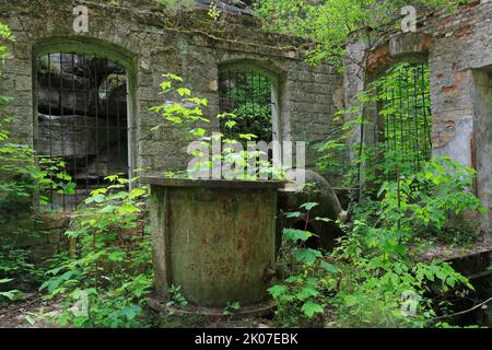 Turbine, centrale hydroélectrique abandonnée, lieux perdus, Liebethaler Grund, Wesenitz, Saxe, Allemagne Banque D'Images