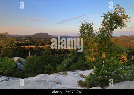 Bouleau (Betula) sur roche de grès, vue de la famille Lilienstein, Birch, Birch (Betulaceae), Gamrig, Rathen, Saxe, Allemagne Banque D'Images