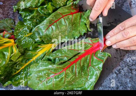 Betterave (Beta vulgaris subsp. Vulgaris), feuilles de bettes, coupe de feuilles de bettes, couteau de cuisine, planche à découper, Légumes, sains, végétariens, souabe Banque D'Images