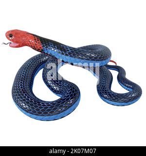 Illustration de serpent corail bleu 3D. Banque D'Images