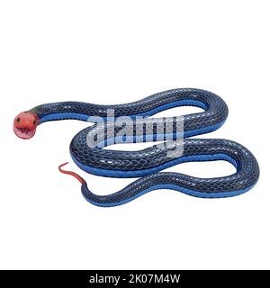 Illustration de serpent corail bleu 3D. Banque D'Images