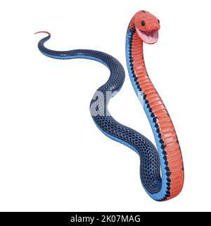 Illustration de serpent corail bleu 3D. Banque D'Images