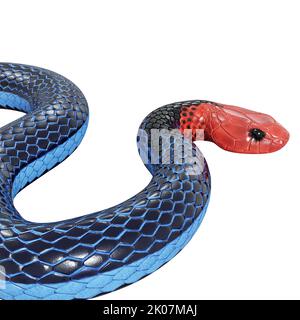 Illustration de serpent corail bleu 3D. Banque D'Images