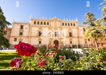 Façade du bâtiment du Collège de Saint Ildefonso, siège de l'Université d'Alcala de Henares et roseraie en premier plan Banque D'Images