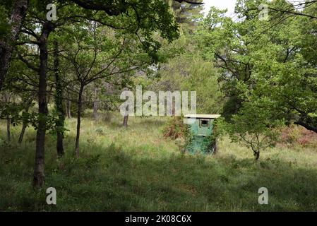 Cabane en bois vert, chasse aux aveugles, chasse aux aveugles ou chasse aux chasseurs en forêt Provence France Banque D'Images