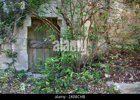 Ancienne porte ou porte en bois en pierre mur partiellement caché par des arbustes surcultivés Oppède-le-Vieux Luberon Provence Banque D'Images