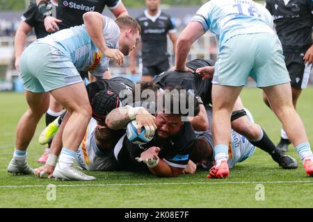 Newcastle, Royaume-Uni. 10th septembre 2022. Logovi'i Muilpola, de Newcastle Falcons, a terminé le match Gallagher Premiership entre Newcastle Falcons et Harlequins à Kingston Park, Newcastle, le samedi 10th septembre 2022. (Credit: Chris Lishman | MI News) Credit: MI News & Sport /Alay Live News Banque D'Images