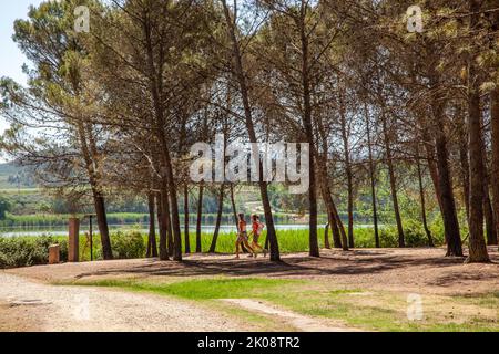 Pèlerin randonnée à travers le parque de la Grajera tout en marchant le Camino de Santiago le chemin de St James entre Logrono et Navarrete Rioja Espagne Banque D'Images