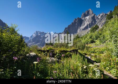 Tour de l'aiguille du Grépon et massif des Grands Jorasses descendant jusqu'au glacier de la Mer de glace. Banque D'Images