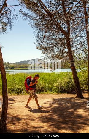 Pèlerin randonnée à travers le parque de la Grajera tout en marchant le Camino de Santiago le chemin de St James entre Logrono et Navarrete Rioja Espagne Banque D'Images