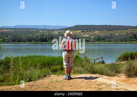 Pèlerin randonnée à travers le parque de la Grajera tout en marchant le Camino de Santiago le chemin de St James entre Logrono et Navarrete Rioja Espagne Banque D'Images