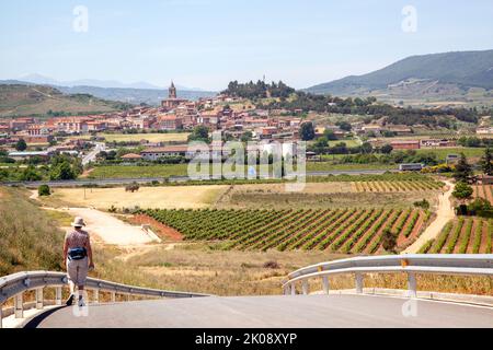 Pèlerins marchant à travers les vignobles de Rioja tout en marchant sur le Camino de Santiago, le chemin de Saint-Jacques à l'approche de Navarrete Espagne Banque D'Images