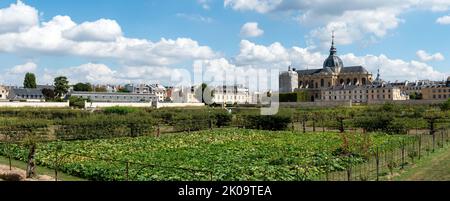 Jardin de la cuisine du Roi, Potager du Roi, Versailles, France Banque D'Images